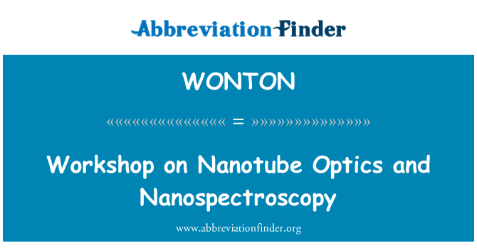 WONTON: Семинар на нанотръба оптика и Nanospectroscopy