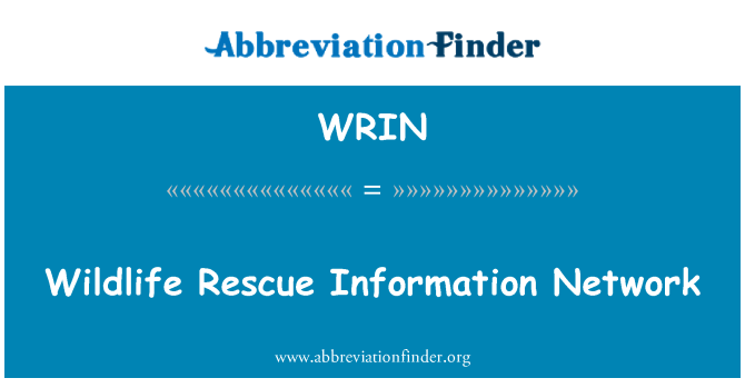 WRIN: חיות הבר חילוץ מידע ברשת