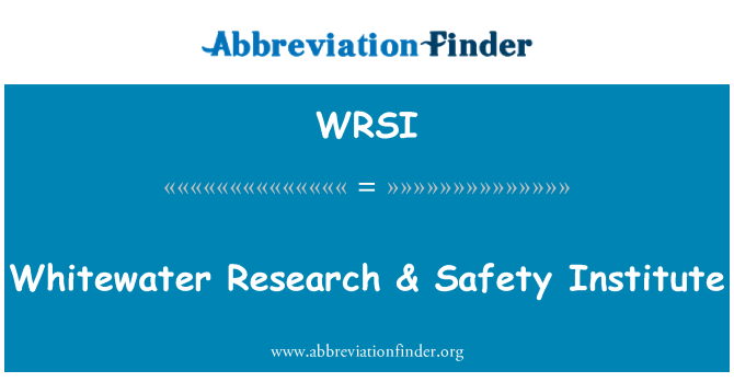 WRSI: 白水研究 & 安全研究所