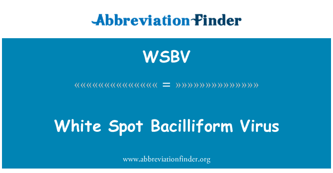 WSBV: 白色現貨杆狀病毒