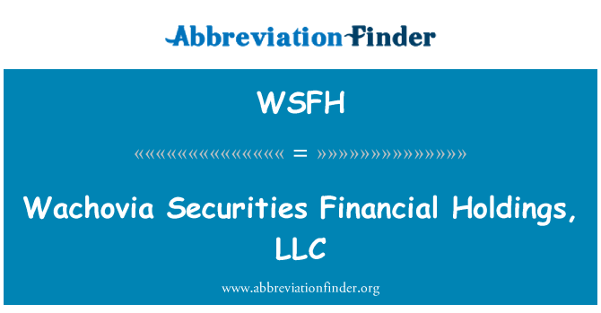 WSFH: Wachovia valors financers Holdings, LLC