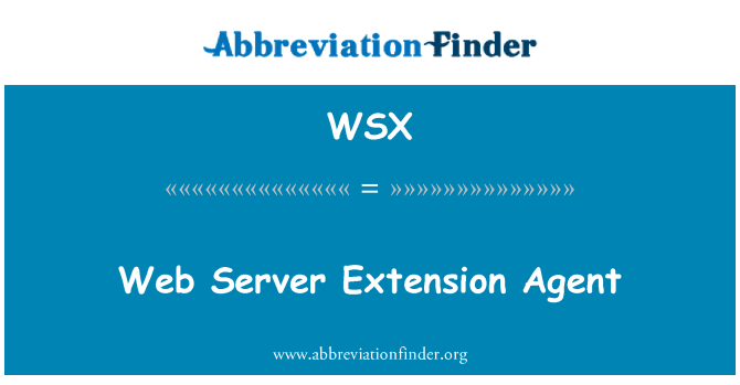 WSX: Web 服务器扩展代理