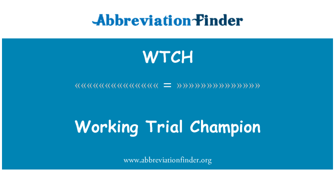 WTCH: Pracovní časovce Champion