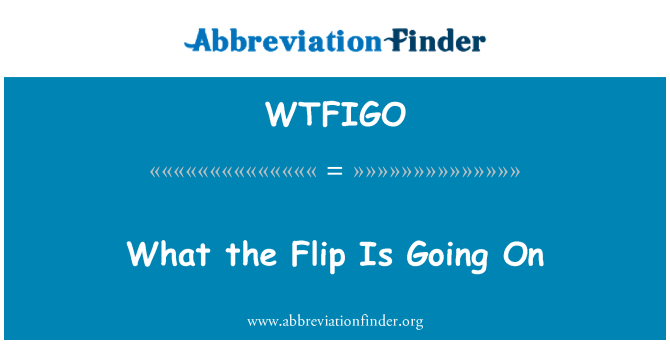 WTFIGO: Kas Flip vyksta