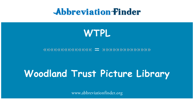 WTPL: Woodland اعتماد تصویر لائبریری