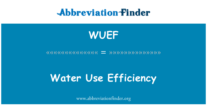 WUEF: پانی کے استعمال کی کارکردگی میں اضافہ
