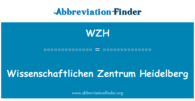 WZH: Wissenschaftlichen Zentrum Χαϊδελβέργη