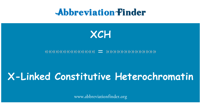 XCH: X'e bünye Heterochromatin