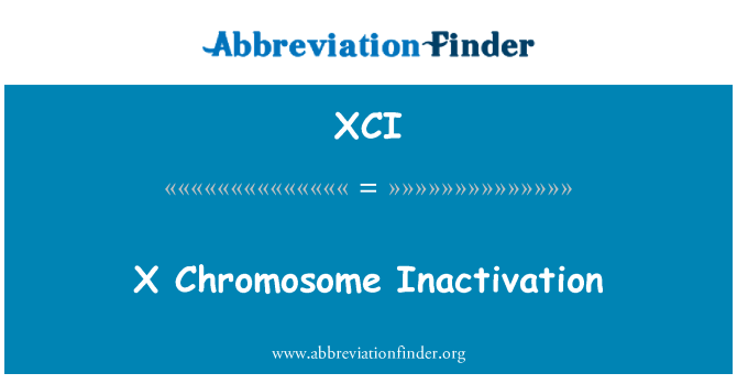 XCI: Inattivazzjoni kromożomi X