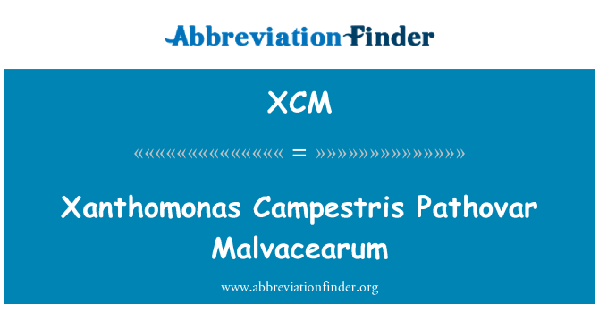 XCM: Xanthomonas Campestris باثوفار مالفاسيروم