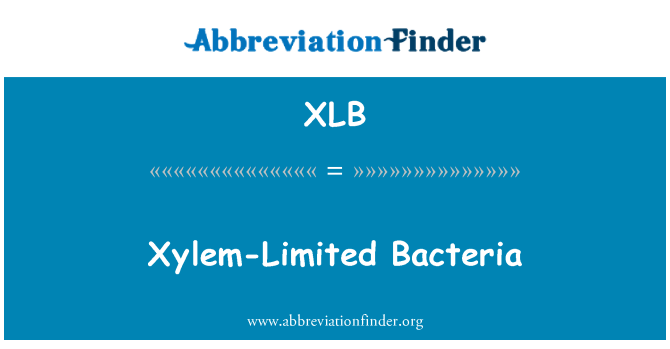 XLB: Pembuluh kayu-terbatas bakteri