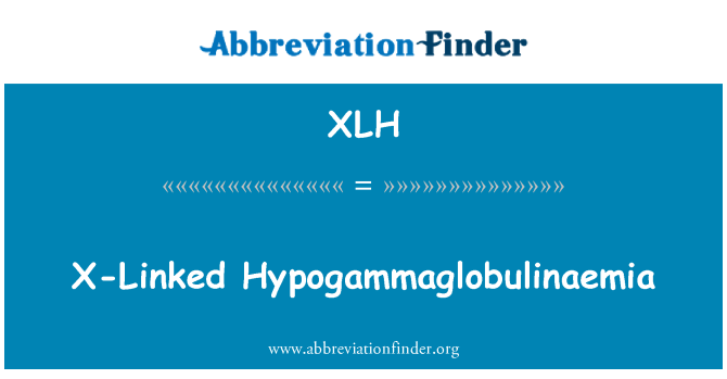 XLH: Hypogammaglobulinaemia X Liés