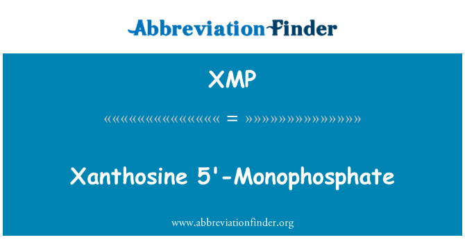 XMP: Xanthosine 5'-Monophosphate