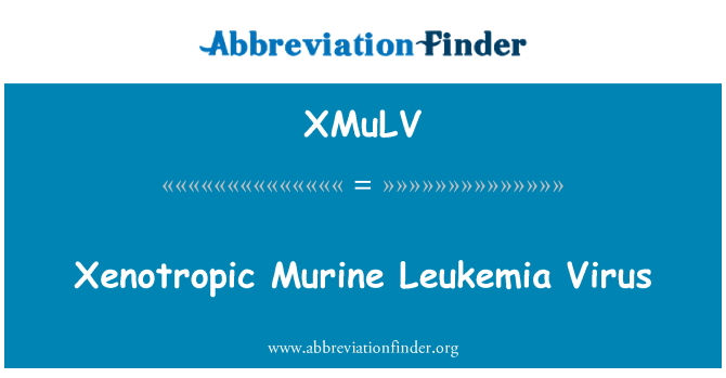 XMuLV: Virus de la leucèmia Xenotropic conduïren