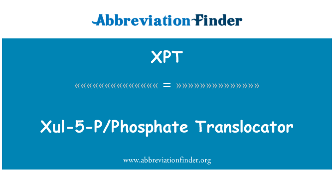 XPT: Xul-5-P/fosfat Translocator