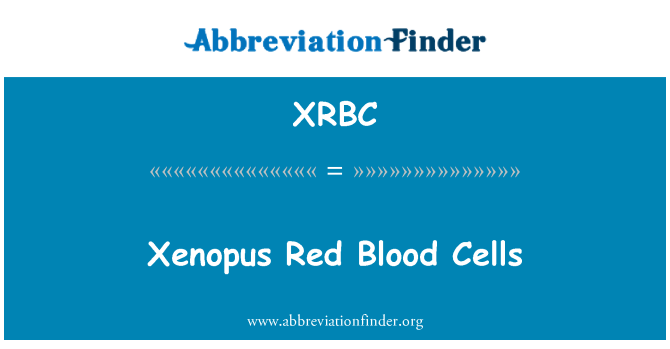 XRBC: Xenopus Red Blood Cells