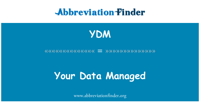 YDM: I dati gestiti