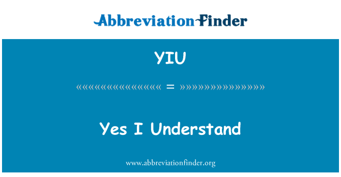 YIU: Vâng tôi hiểu