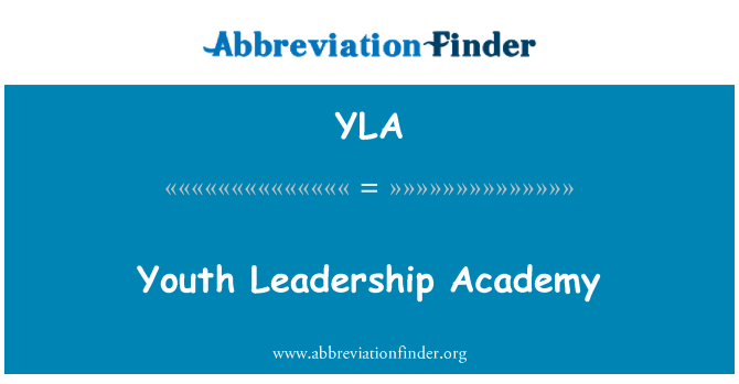 YLA: Noorte Leadership Academy