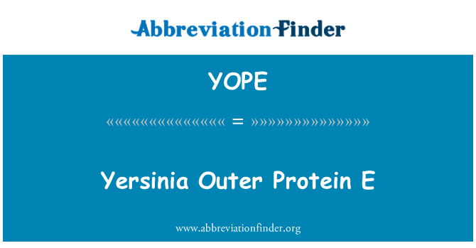 YOPE: Yersinia proteina esterna E