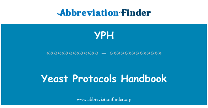 YPH: Kvasinky protokoly Handbook