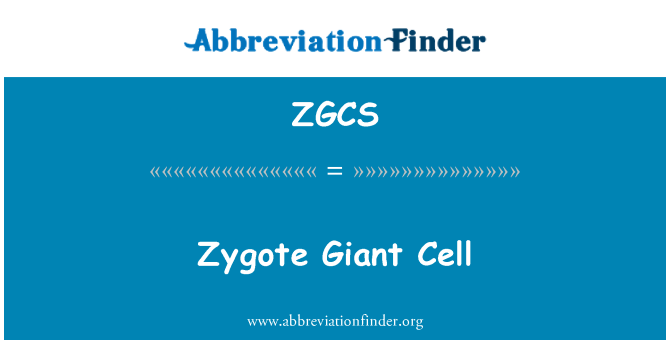 ZGCS: Zygote gergasi sel