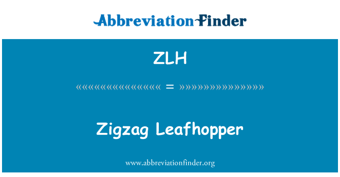 ZLH: Leafhopper zig-zag